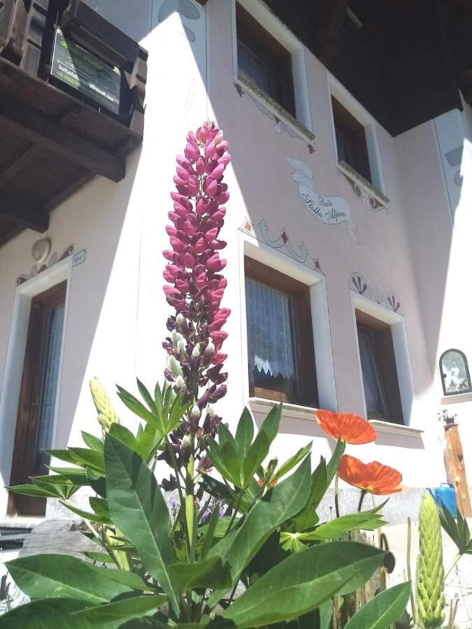 Baita Stella Alpina Livigno Buitenkant foto